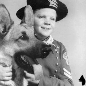 Rin Tin Tin The True Story of German Shepherd