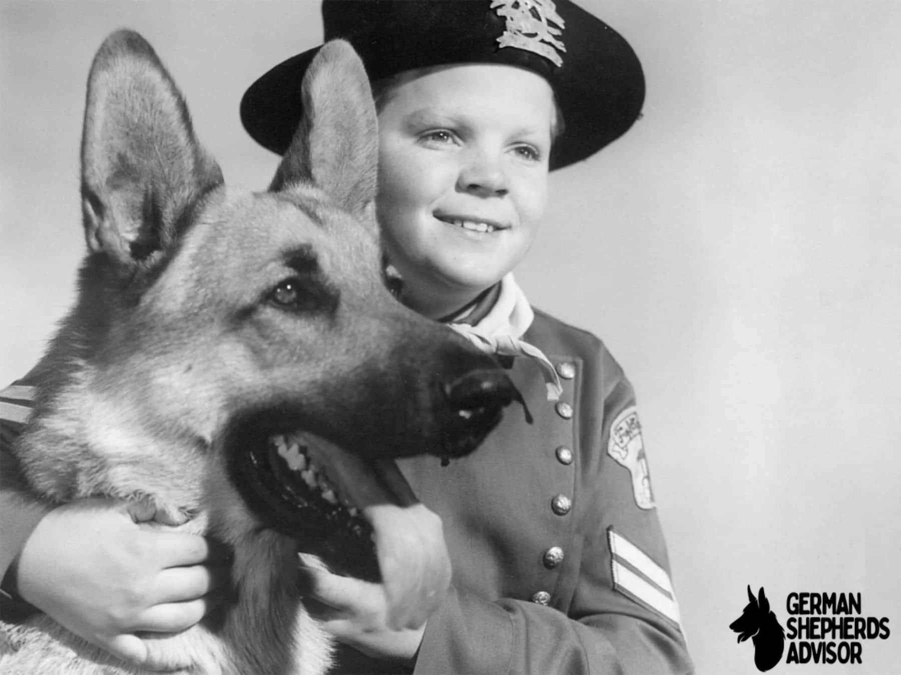 Rin Tin Tin The True Story of German Shepherd